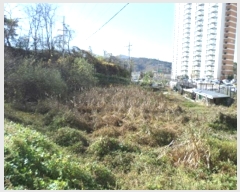  2023Ÿ��305488 ���� ���ֽ� ����� ����� 156      ����(��)���