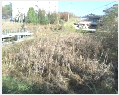  2023Ÿ��305488 ���� ���ֽ� ����� ����� 156      ����(��)���