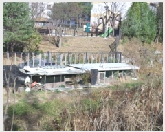  2023Ÿ��305488 ���� ���ֽ� ����� ����� 156      ����(��)���