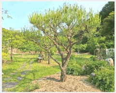  2023Ÿ2680  Ⱦ  ȸ 503      ܵ,ð