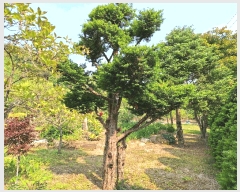  2023Ÿ2680  Ⱦ  ȸ 503      ܵ,ð