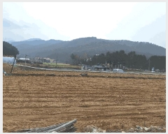  2023Ÿ2680  Ⱦ  ȸ 503      ܵ,ð