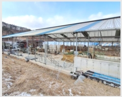  2023Ÿ��3195  ���(�󰡽ü�)���