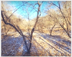  2023Ÿ305853  ֽ ʸ ϸ 675-1      (Ӿ)