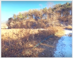  2023Ÿ305853  ֽ ʸ ϸ 675-1      (Ӿ)