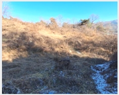  2023Ÿ305853  ֽ ʸ ϸ 675-1      (Ӿ)