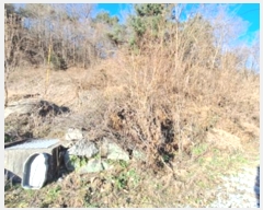  2023Ÿ305853  ֽ ʸ ϸ 675-1      (Ӿ)