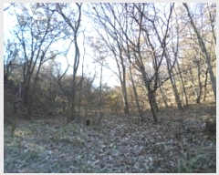  2023Ÿ305853  ֽ ʸ ϸ 675-1      (Ӿ)