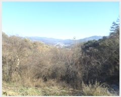  2023Ÿ305853  ֽ ʸ ϸ 675-1      (Ӿ)