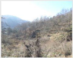  2023Ÿ305853  ֽ ʸ ϸ 675-1      (Ӿ)