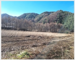  2023Ÿ��1225  �����