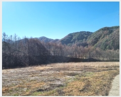  2023Ÿ��1225  �����