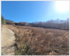  2023Ÿ��1225  �����