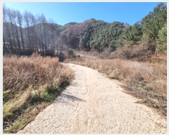  2023Ÿ��1225  �����