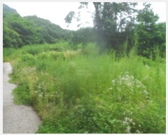  2023Ÿ��1225  �����