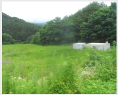  2023Ÿ��1225  �����