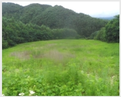  2023Ÿ��1225  �����