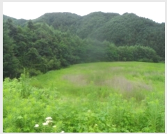  2023Ÿ��1225  �����