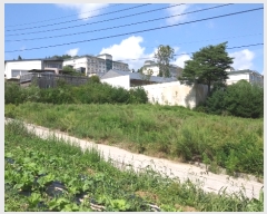  2023Ÿ��1409  �����