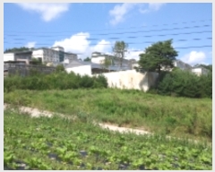  2023Ÿ��1409  �����