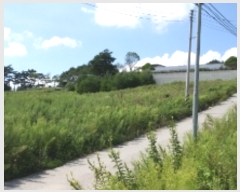  2023Ÿ��1409  �����