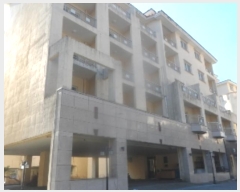  2023Ÿ13198  ¹ ¹ 4839, 4402ȣ      ܵ(ȣ)