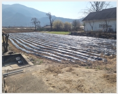  2023Ÿ��413  ���ð��