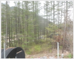  2023Ÿ��598 ���� ��â�� ����� ������ 14-6      ����(�Ӿ�)���