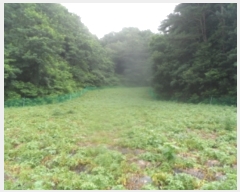  2023Ÿ1256  â θ  1623-3      (1)