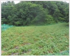  2023Ÿ1256  â θ  1623-3      (1)