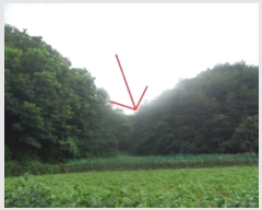  2023Ÿ1256  â θ  1623-3      (1)