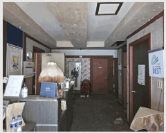  2023Ÿ��2006  ���ڽü����