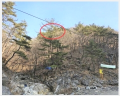  2023Ÿ��13167  �����