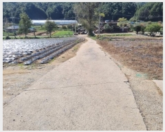  2023Ÿ1652  â θ θ 15      (1)