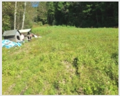  2023Ÿ1652  â θ θ 15      (1)