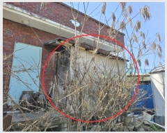  2023Ÿ��11925  ���ð��