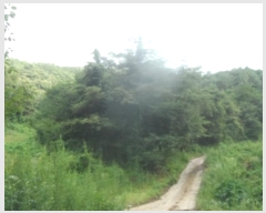  2023Ÿ��11925  ���ð��