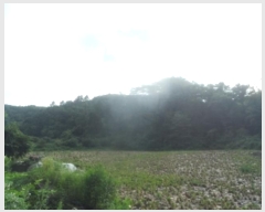  2023Ÿ��11925  ���ð��