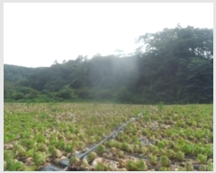  2023Ÿ��11925  ���ð��