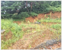  2023Ÿ��12140  �����