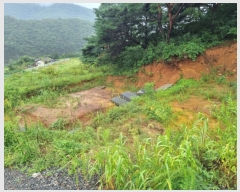  2023Ÿ��12140  �����