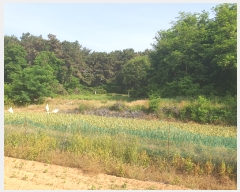  2023Ÿ3004  ûֽ   3      (Ӿ)