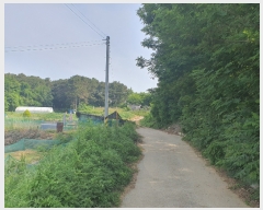  2023Ÿ3004  ûֽ   3      (Ӿ)