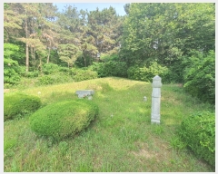  2023Ÿ3004  ûֽ   3      (Ӿ)