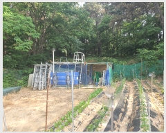  2023Ÿ3004  ûֽ   3      (Ӿ)