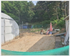  2023Ÿ3004  ûֽ   3      (Ӿ)