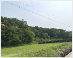  2023Ÿ3004  ûֽ   3      (Ӿ)