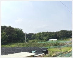  2023Ÿ3004  ûֽ   3      (Ӿ)