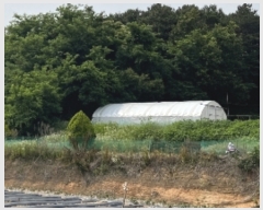  2023Ÿ3004  ûֽ   3      (Ӿ)