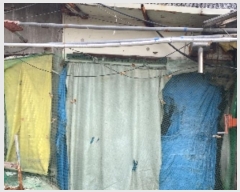  2023Ÿ��6249 ��� ���걺 �縮�� ��㸮 566      ���(�󰡽ü�)���